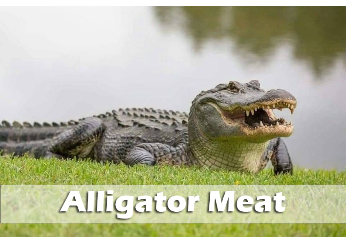 Alligator Meat: Taste, Cooking Tips, Nutrition, and Where to Buy It Alligator Meat: Taste, Cooking Tips, Nutrition, and Where to Buy It