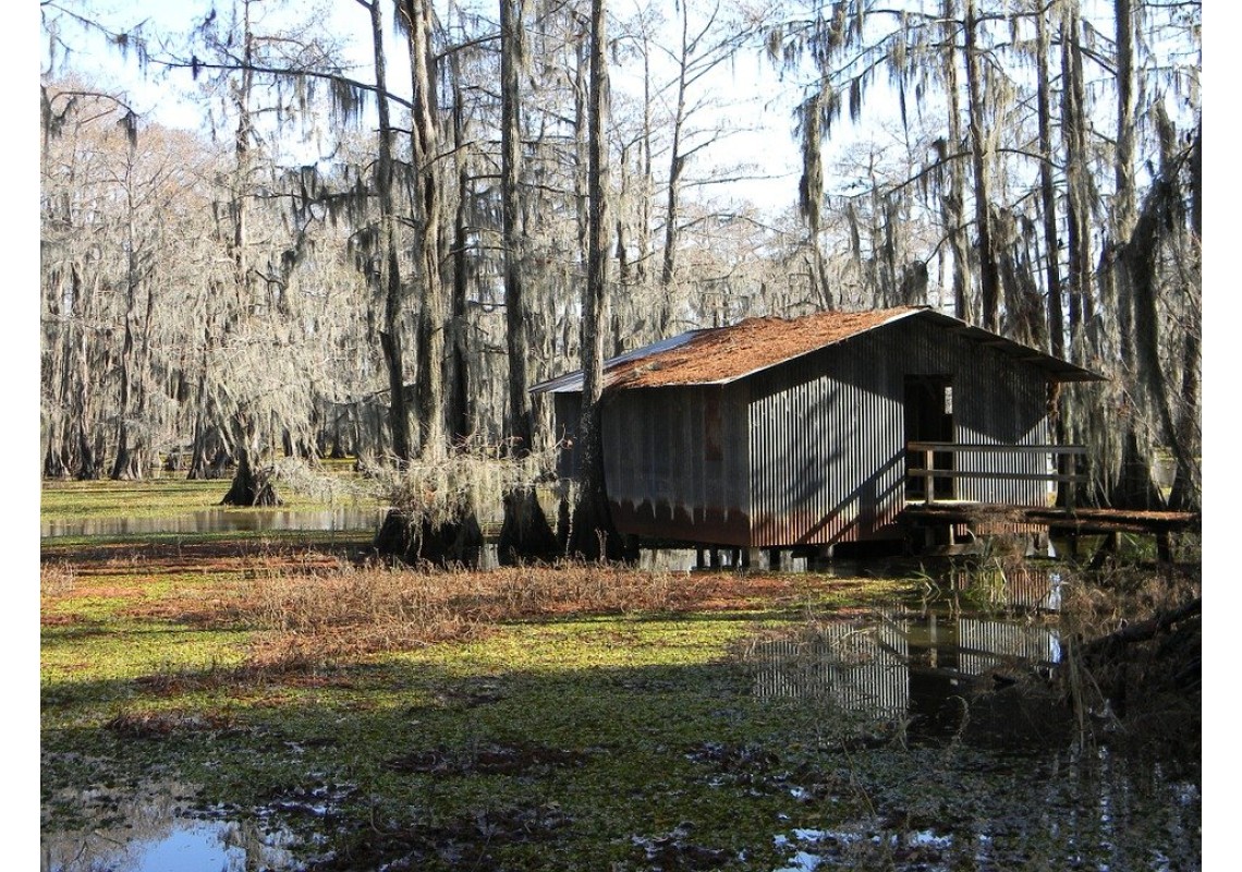 Cajun Foods Cajun Foods