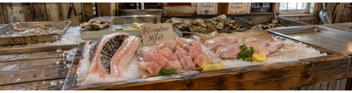 Alligator Meat Alligator Meat