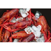 Louisiana Whole Boiled Crawfish 5 lbs with Seasoning Louisiana Whole Boiled Crawfish 5 lbs with Seasoning