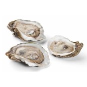 One Dozen Extra Fancy Half Shell Gulf Oysters One Dozen Extra Fancy Half Shell Gulf Oysters