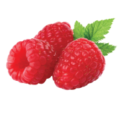 Ole Homestead - Raspberry Pepper Jelly Ole Homestead - Raspberry Pepper Jelly