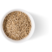 Ole Homestead Sorghum Molasses Ole Homestead Sorghum Molasses