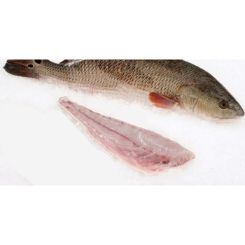 Redfish on the Half Shell Redfish on the Half Shell