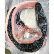 Whole Alligator Small 5 to 8 lbs Whole Alligator Small 5 to 8 lbs