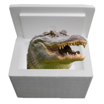 Louisiana Alligator Sampler Cooler Louisiana Alligator Sampler Cooler