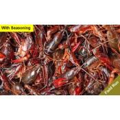 60 lbs Field Run Live Crawfish Delivery with Seasoning 60 lbs Field Run Live Crawfish Delivery with Seasoning